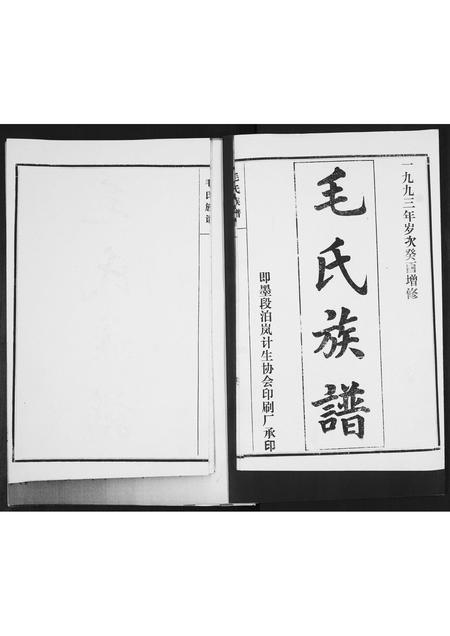 山东毛氏-毛氏族谱[不分卷].pdf电子版插图1