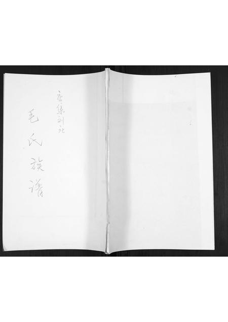 山东毛氏-毛氏族谱[不分卷].pdf电子版