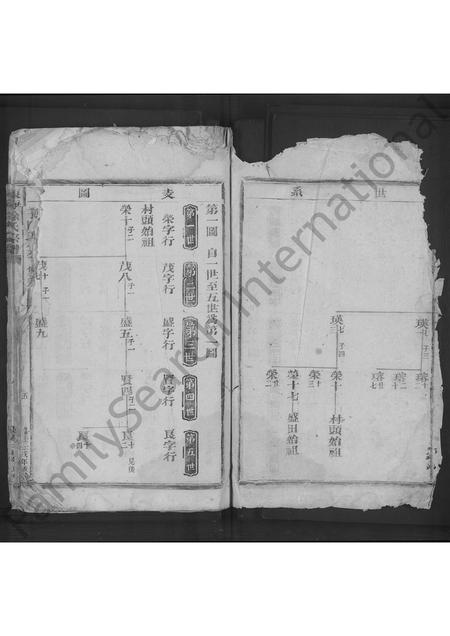 4677.东海徐氏宗谱 [不分卷].pdf电子版插图1