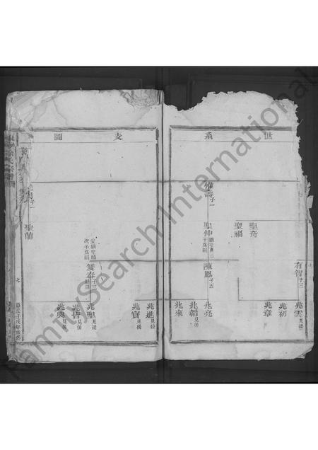 4677.东海徐氏宗谱 [不分卷].pdf电子版插图3