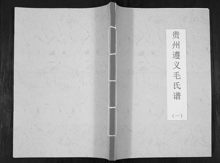 贵州毛氏-贵州遵义毛氏谱[4册].pdf电子版插图