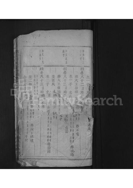 4714.浦阳薛氏宗谱 [8卷].pdf电子版插图
