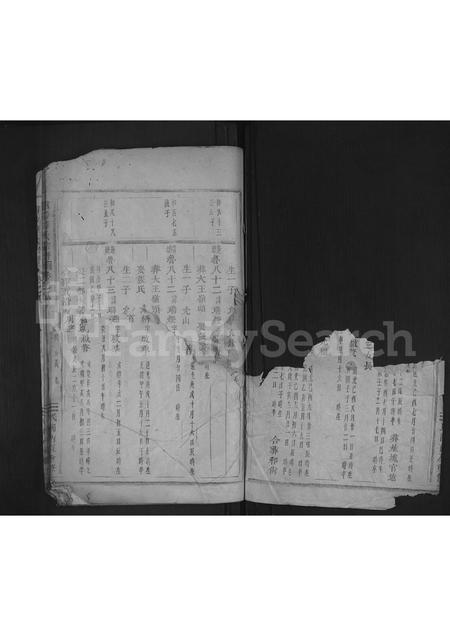4714.浦阳薛氏宗谱 [8卷].pdf电子版插图1