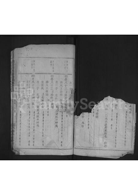 4714.浦阳薛氏宗谱 [8卷].pdf电子版插图2
