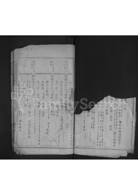 4714.浦阳薛氏宗谱 [8卷].pdf电子版插图3