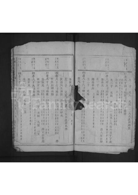 4714.浦阳薛氏宗谱 [8卷].pdf电子版插图5