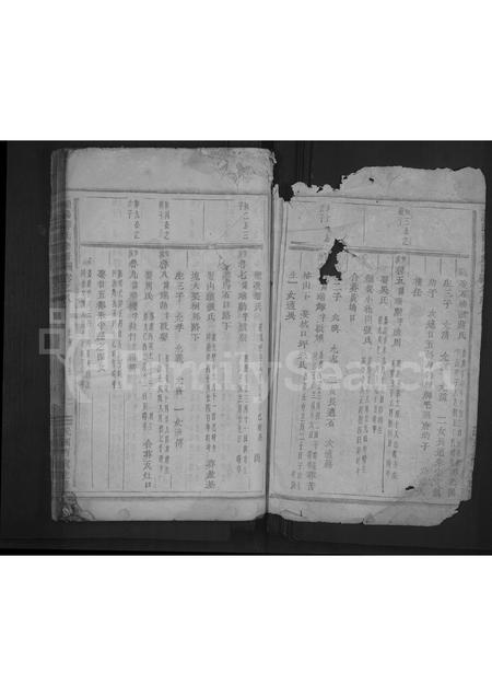 4715.浦阳薛氏宗谱 [8卷].pdf电子版插图1