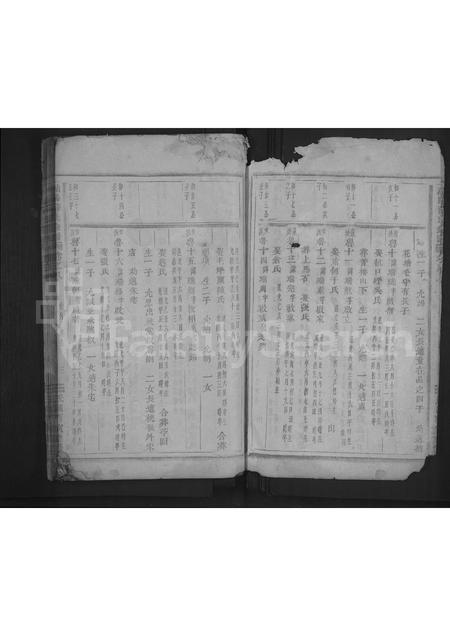 4715.浦阳薛氏宗谱 [8卷].pdf电子版插图2