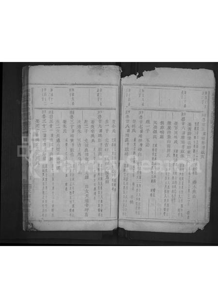 4715.浦阳薛氏宗谱 [8卷].pdf电子版插图4