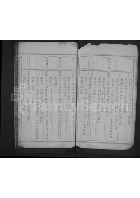 4715.浦阳薛氏宗谱 [8卷].pdf电子版插图5