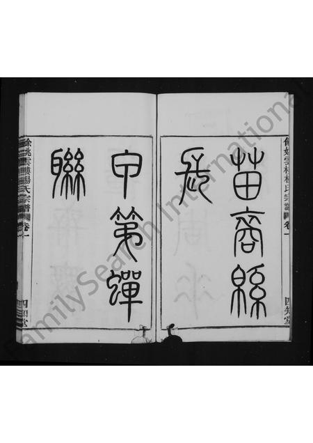 4729.杨氏宗谱 [4卷](别名：余姚云楼杨氏宗谱).pdf电子版插图3