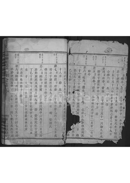 4750.荷塘叶氏宗谱 [残存卷4].pdf电子版插图1