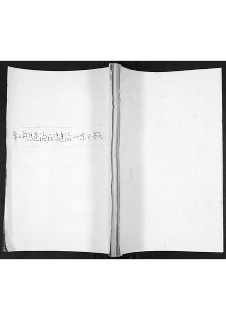 山东苗氏-苗氏族谱.pdf电子版插图 山东苗氏-苗氏族谱.pdf电子版插图