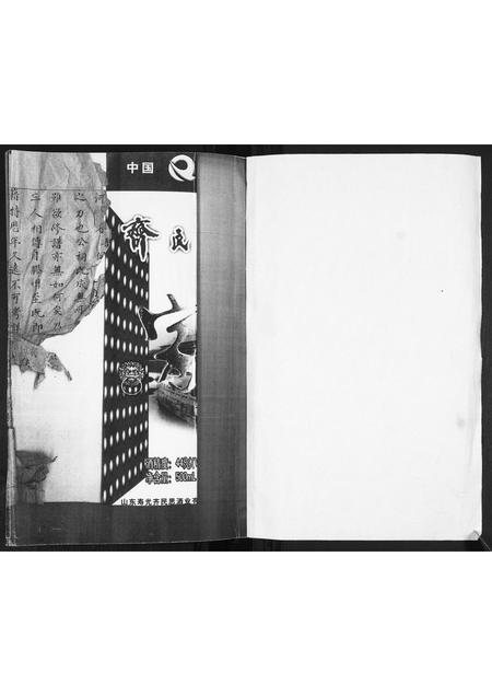 山东苗氏-苗氏族谱.pdf电子版插图1 山东苗氏-苗氏族谱.pdf电子版插图1