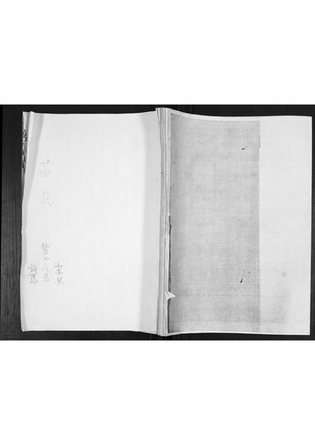 山东苗氏-苗氏族谱.pdf电子版