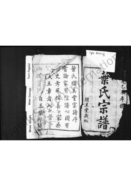 4760.叶氏宗谱 [10卷].pdf电子版插图1