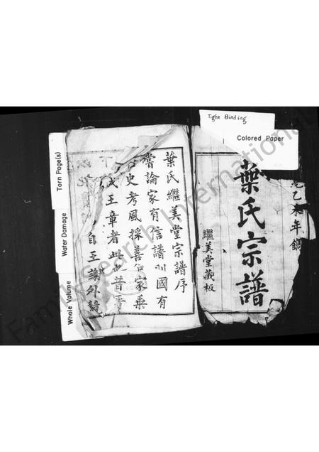 4760.叶氏宗谱 [10卷].pdf电子版插图2