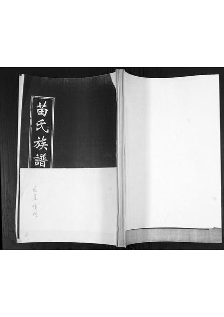 山东苗氏-苗氏族谱.pdf电子版