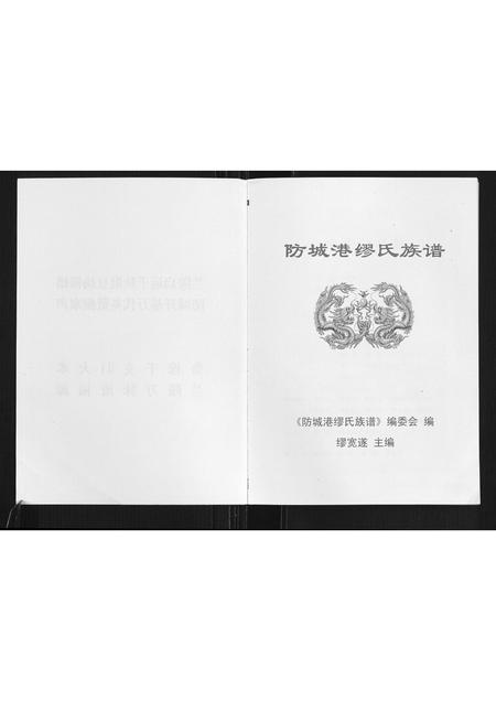 广西缪氏-防城港缪氏族谱.pdf电子版插图2