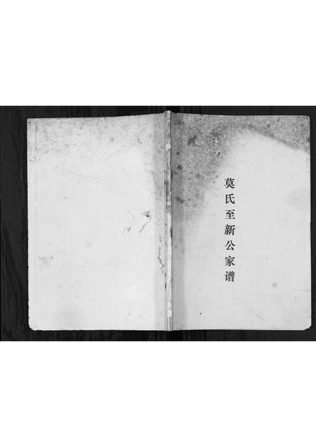 广西莫氏-莫氏至新公家谱[不分卷].pdf电子版插图