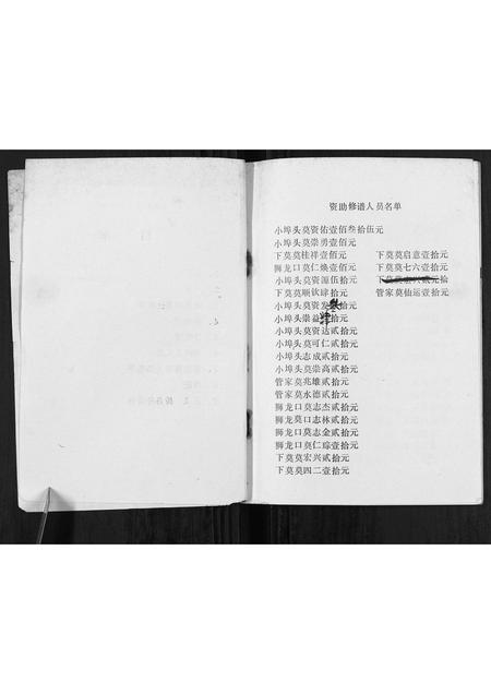 广西莫氏-莫氏至新公家谱[不分卷].pdf电子版插图2