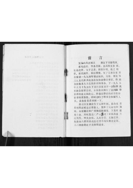 广西莫氏-莫氏至新公家谱[不分卷].pdf电子版插图3