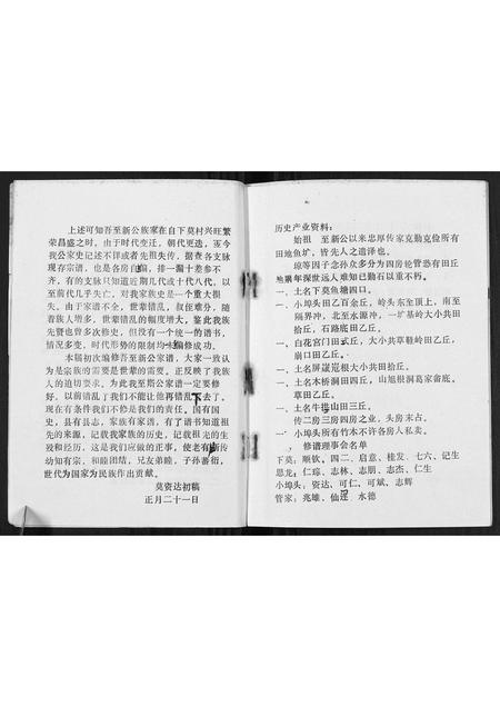广西莫氏-莫氏至新公家谱[不分卷].pdf电子版插图4