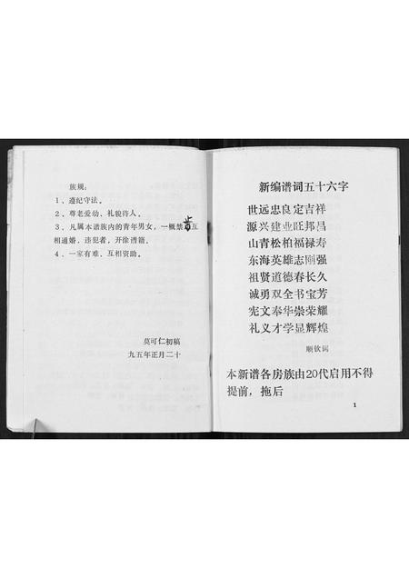 广西莫氏-莫氏至新公家谱[不分卷].pdf电子版插图5