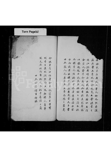 4802.江浙张氏家乘述余.pdf电子版插图4