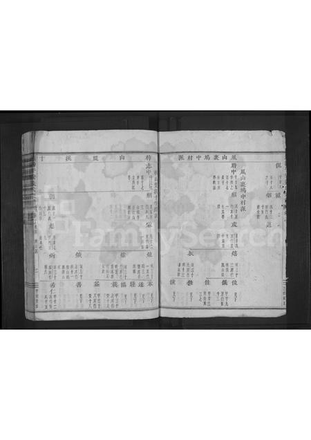 4807.浦阳平安张氏宗谱 [残卷](别名：浦阳平安张氏宗谱).pdf电子版插图1