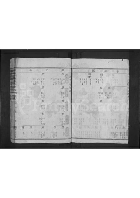 4807.浦阳平安张氏宗谱 [残卷](别名：浦阳平安张氏宗谱).pdf电子版插图3