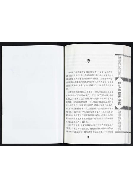 内蒙穆氏-穆氏家谱.pdf电子版插图5