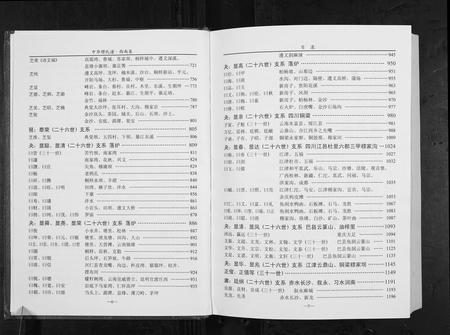 贵州穆氏-中华穆氏谱.西南卷.pdf电子版插图4
