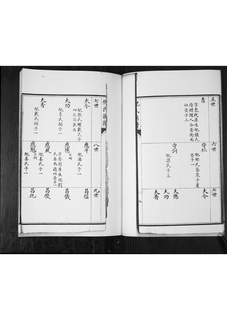 山东倪氏-倪氏族谱.pdf电子版插图5 山东倪氏-倪氏族谱.pdf电子版插图5