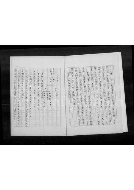 4826.张氏家谱.pdf电子版插图3