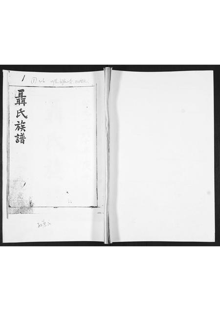 山东聂氏-聂氏族谱[不分卷].pdf电子版插图