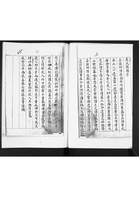 山东聂氏-聂氏族谱[不分卷].pdf电子版插图2