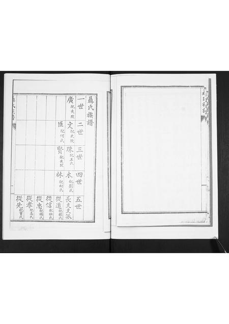 山东聂氏-聂氏族谱[不分卷].pdf电子版插图4