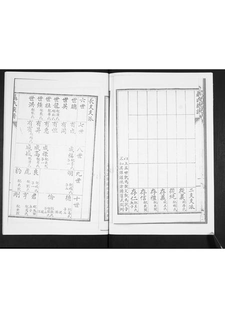 山东聂氏-聂氏族谱[不分卷].pdf电子版插图5