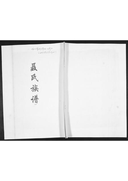 山东聂氏-聂氏族谱[不分卷].pdf电子版插图