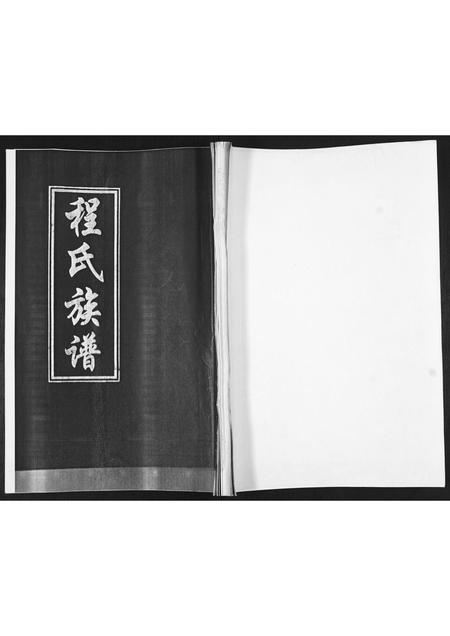 山东聂氏-聂氏族谱[不分卷].pdf电子版插图