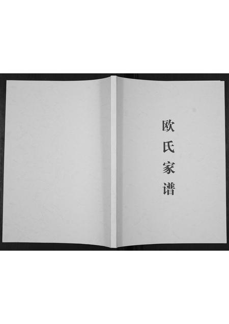 四川欧氏-欧氏家谱[不分卷].pdf电子版插图