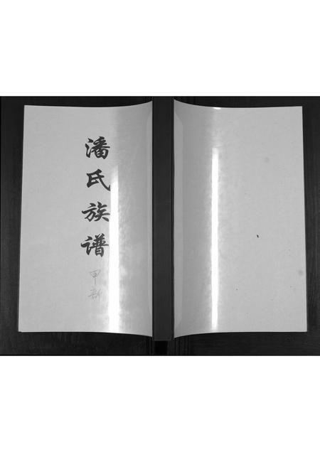 山东潘氏-潘氏族谱[2部].pdf电子版插图
