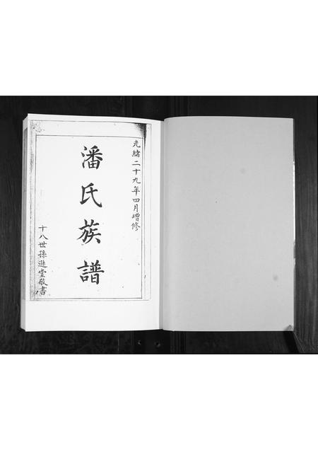 山东潘氏-潘氏族谱[2部].pdf电子版插图1