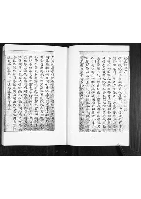 山东潘氏-潘氏族谱[2部].pdf电子版插图3