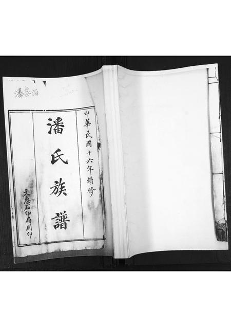 山东潘氏-潘氏族谱[不分卷].pdf电子版插图