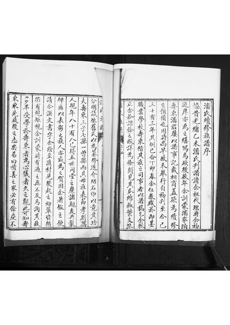 山东潘氏-潘氏族谱[不分卷].pdf电子版插图3