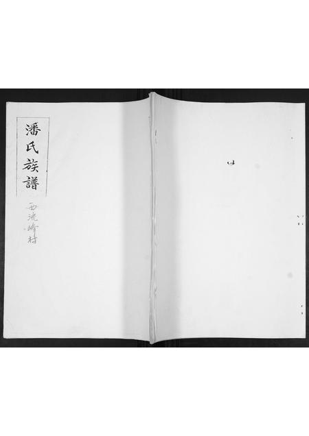 山东潘氏-潘氏族谱[不分卷].pdf电子版插图