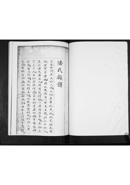 山东潘氏-潘氏族谱[不分卷].pdf电子版插图1