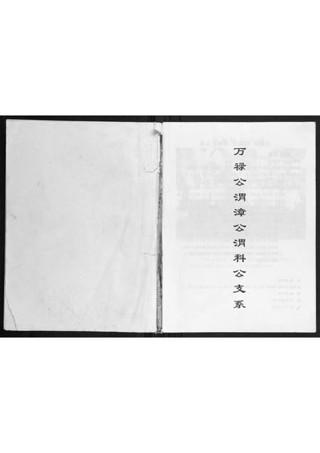 广西潘氏-潘氏族谱万禄公渭漳公渭科公支系.pdf电子版插图